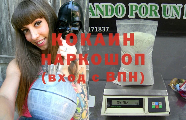 молекула духа Арсеньев
