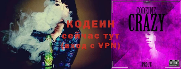 молекула духа Арсеньев