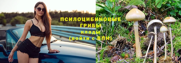 ALPHA PVP Армянск