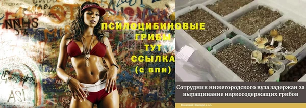 молекула духа Арсеньев