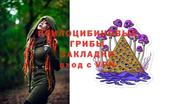 молекула духа Арсеньев