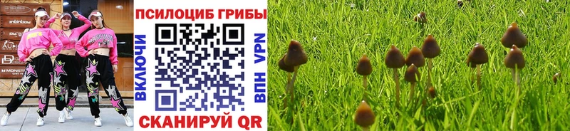 KRAKEN ТОР  Павловск  Галлюциногенные грибы Cubensis 
